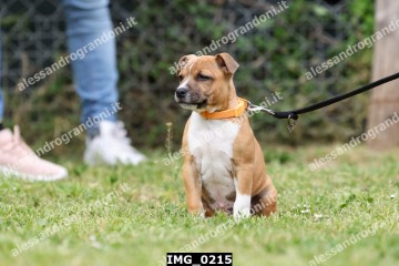 IMG_0215.jpg