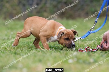 IMG_0296.jpg