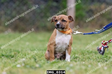 IMG_0314.jpg