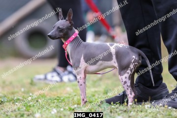IMG_0417.jpg