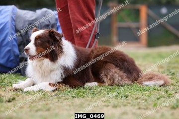 IMG_0469.jpg