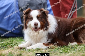 IMG_0474.jpg