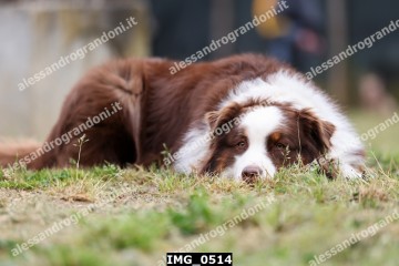 IMG_0514.jpg