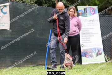 IMG_0549.jpg