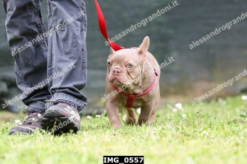 IMG_0557.jpg