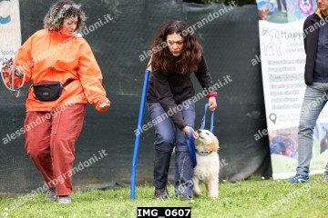 IMG_0607.jpg