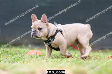 IMG_0636.jpg