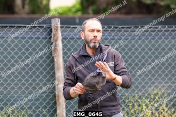 IMG_0645.jpg