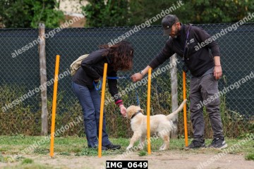 IMG_0649.jpg