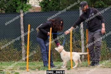 IMG_0652.jpg