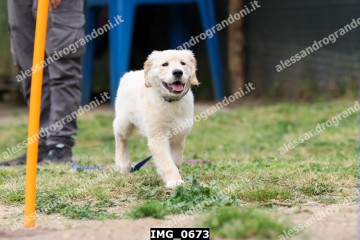 IMG_0673.jpg