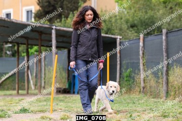 IMG_0708.jpg