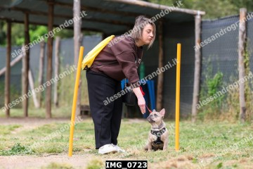 IMG_0723.jpg
