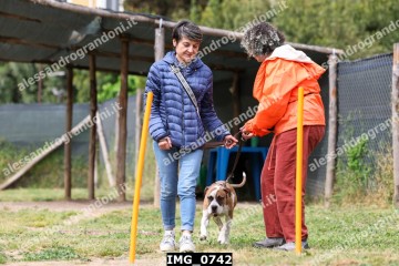 IMG_0742.jpg
