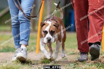 IMG_0770.jpg