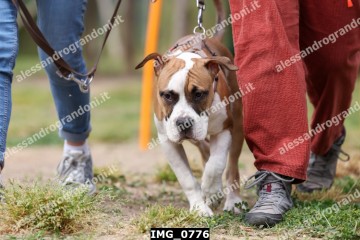 IMG_0776.jpg
