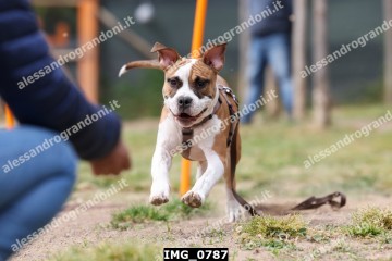 IMG_0787.jpg