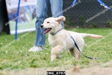 IMG_0797.jpg