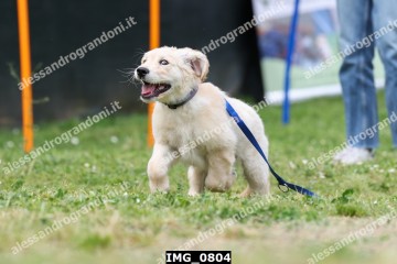 IMG_0804.jpg