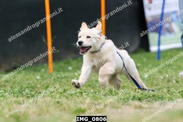 IMG_0806.jpg