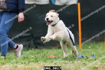 IMG_0817.jpg