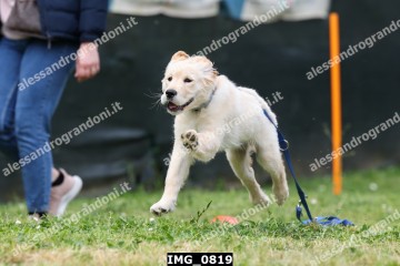 IMG_0819.jpg