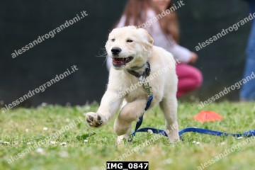 IMG_0847.jpg