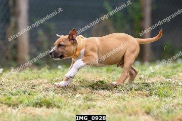 IMG_0928.jpg