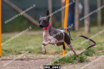 IMG_0992.jpg