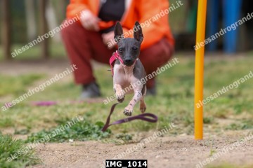 IMG_1014.jpg