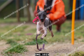 IMG_1023.jpg