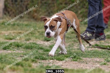 IMG_1055.jpg