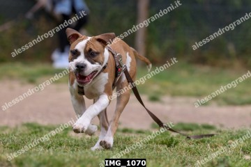 IMG_1070.jpg