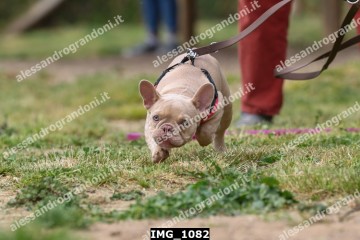 IMG_1082.jpg