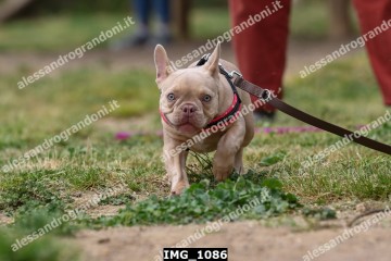 IMG_1086.jpg