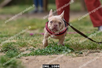 IMG_1089.jpg