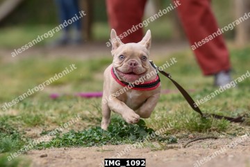 IMG_1092.jpg