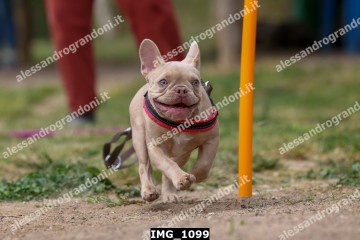 IMG_1099.jpg