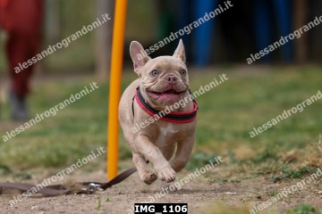 IMG_1106.jpg