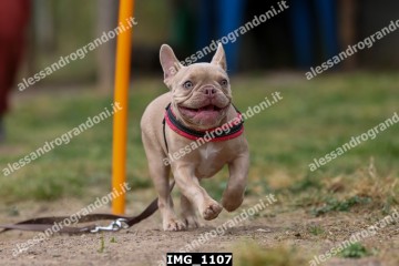 IMG_1107.jpg