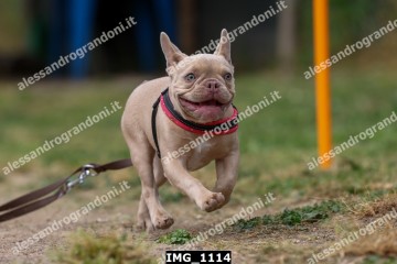 IMG_1114.jpg