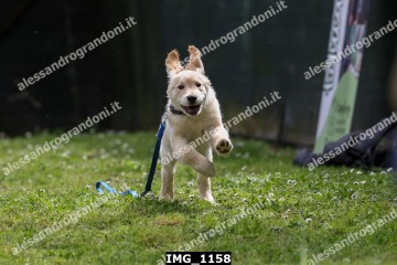 IMG_1158.jpg