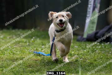 IMG_1164.jpg