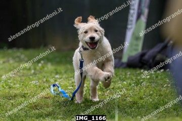 IMG_1166.jpg