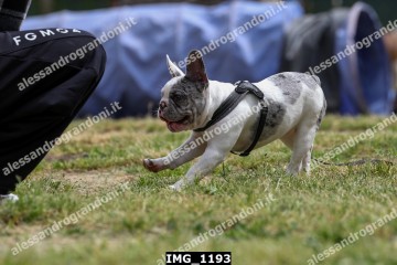 IMG_1193.jpg