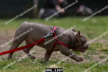 IMG_1207.jpg