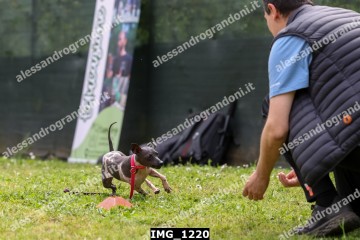 IMG_1220.jpg