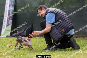 IMG_1240.jpg