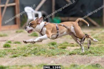 IMG_1269.jpg
