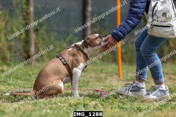 IMG_1288.jpg